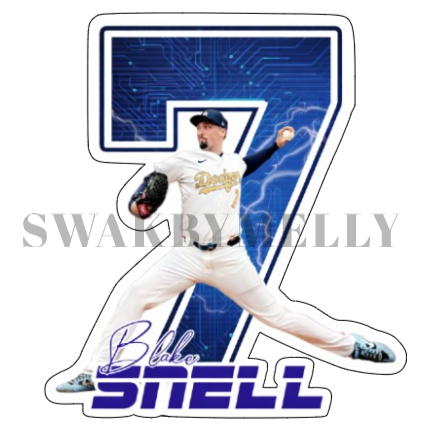 Blake Snell sticker
